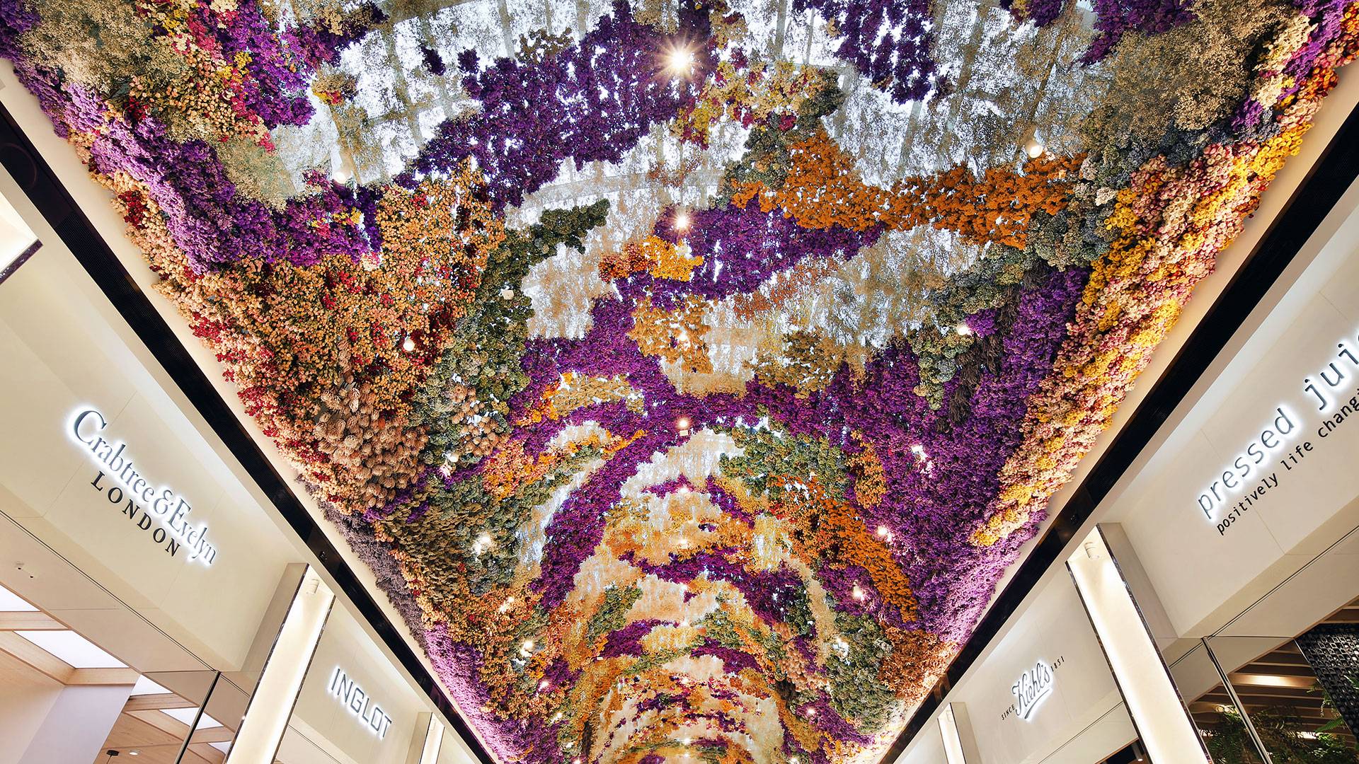 Coolon Aris Linear Strip, complete with oval optics, grazes the feature ceiling of the Eastland Beauty Mall.