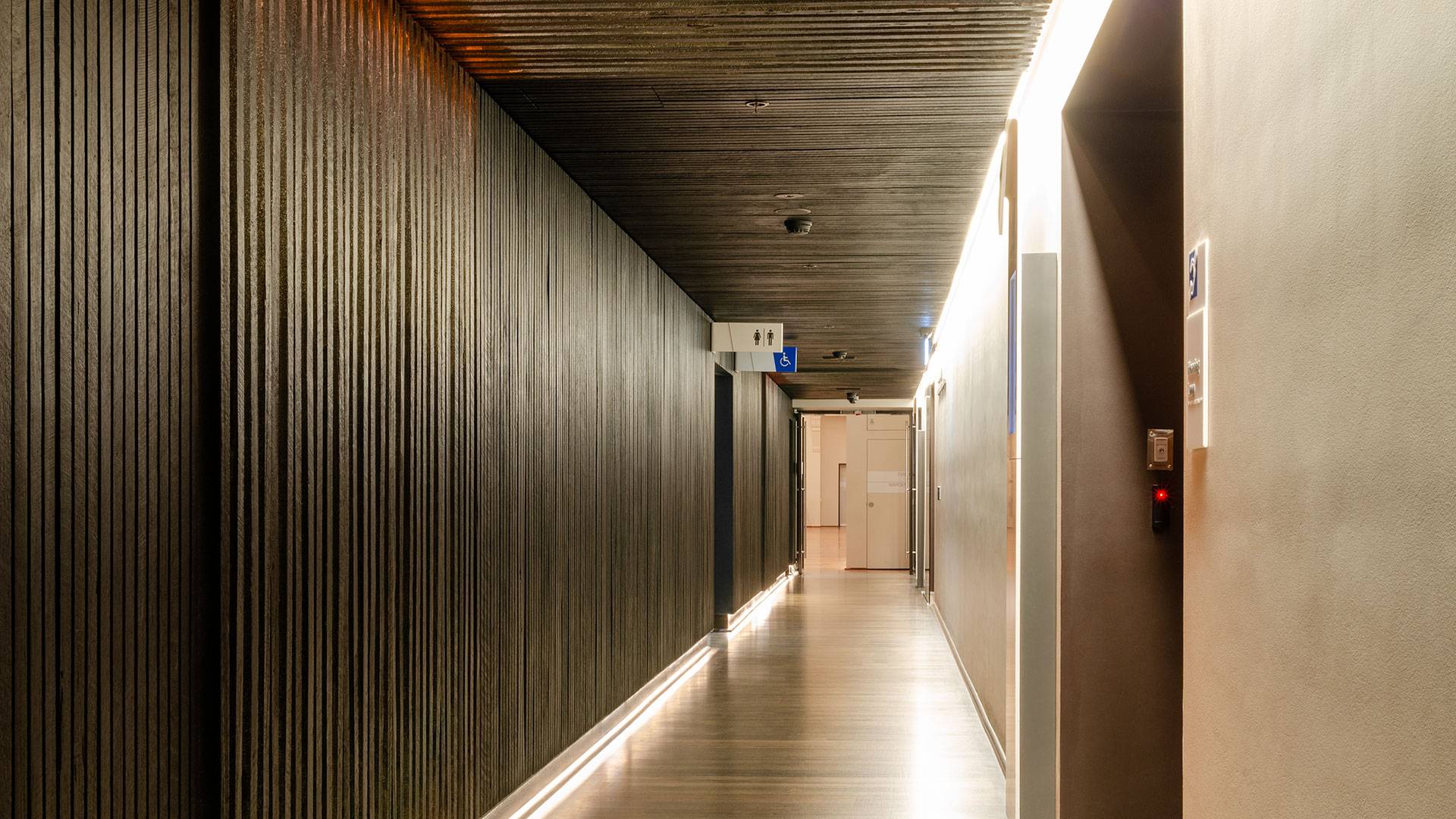 Max Mini IP LED luminaire in application. Discreet Max Mini IP linear floodlights highlight the façade at Melbourne State Library of Victoria.