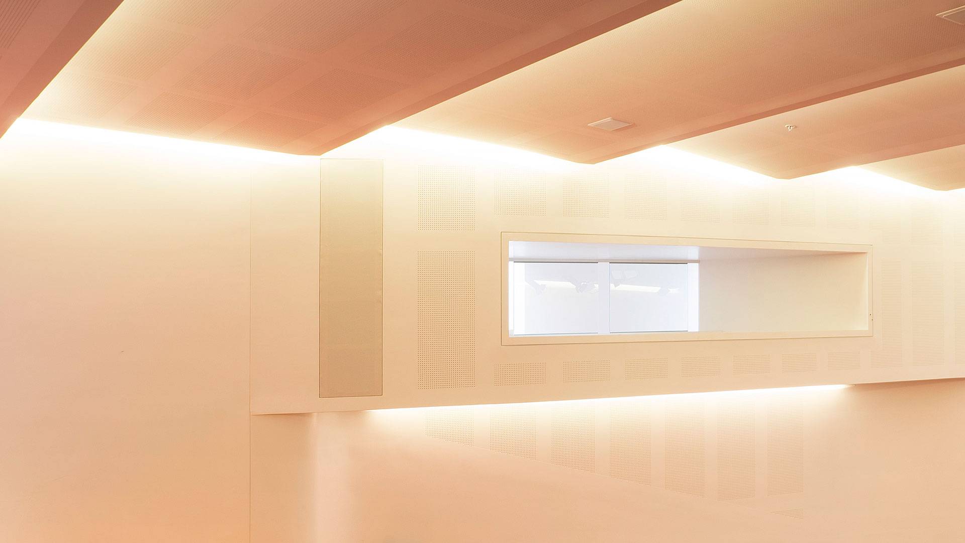 Primo X2 LED strip in application, installed in the Swinburne University AMC Building Lecture Theatre. Multiple soffits create a wave-like effect and double as an indirect lighting source.